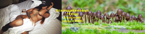 герыч Аркадак