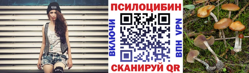 Псилоцибиновые грибы ЛСД  Кувшиново 